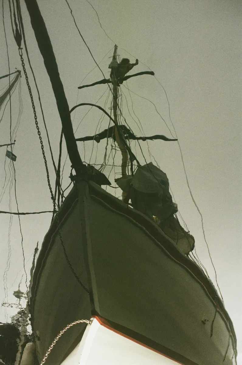 Kingfisher - Hebrides - Meg Loftus - 2024